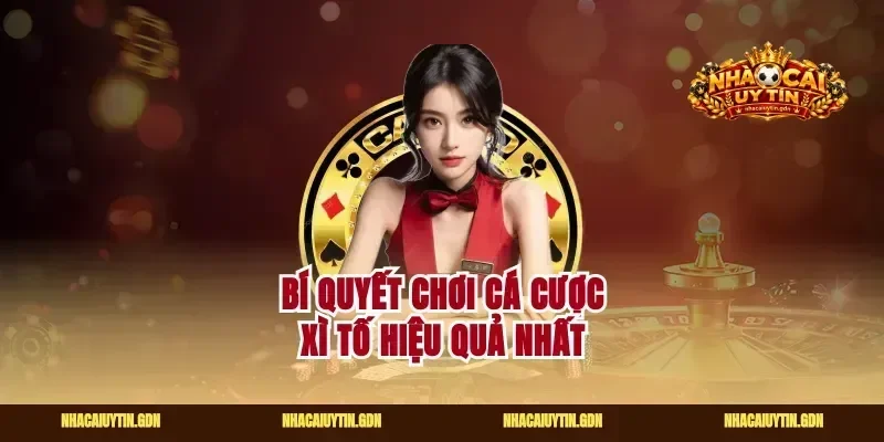 Bí quyết chơi cá cược xì tố hiệu quả nhất
