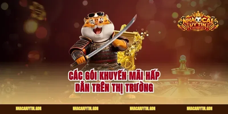 Các gói khuyến mãi hấp dẫn trên thị trường