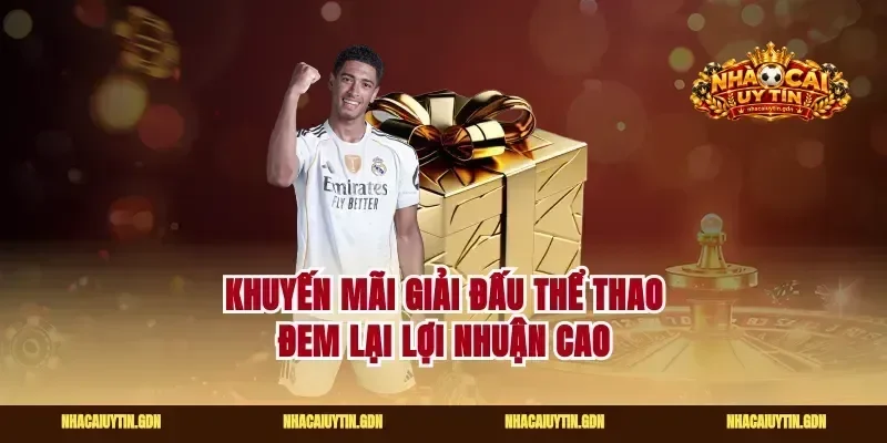 Khuyến mãi giải đấu thể thao đem lại lợi nhuận cao
