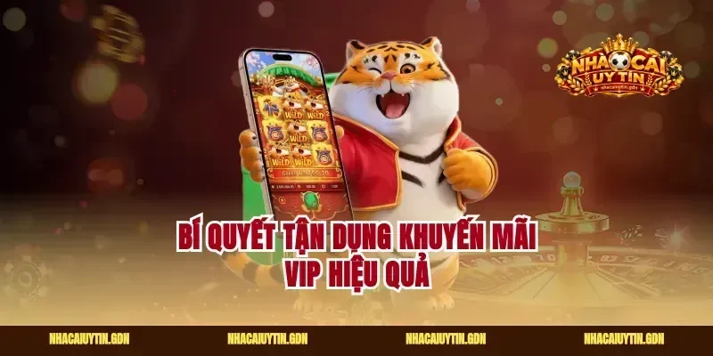 Bí quyết tận dụng khuyến mãi vip hiệu quả
