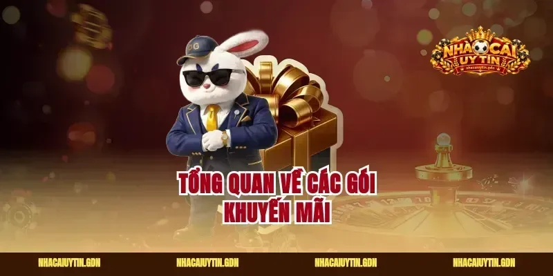 Tổng quan về các gói khuyến mãi