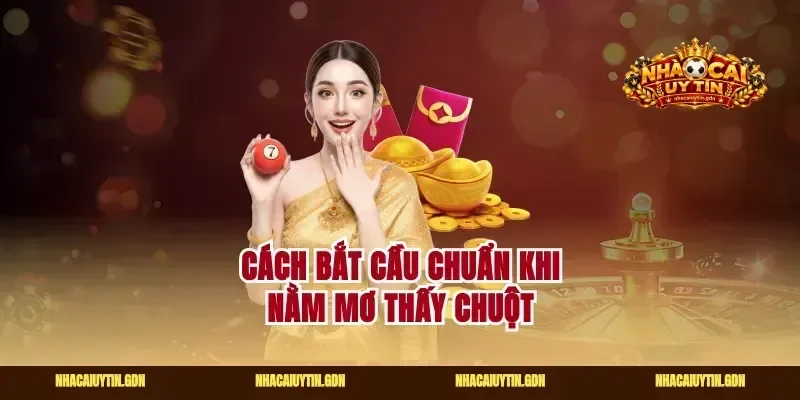 Cách bắt cầu chuẩn khi nằm mơ thấy chuột