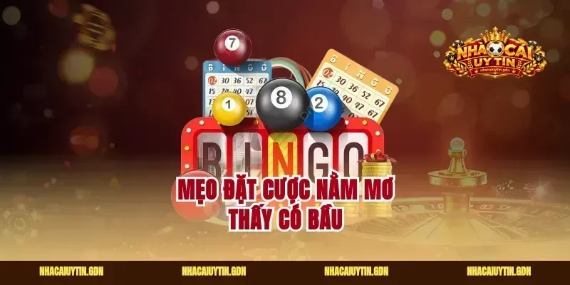 Mẹo đặt cược nằm mơ thấy có bầu