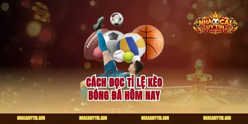 Cách đọc tỉ lệ kèo bóng đá hôm nay
